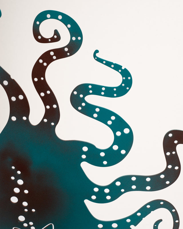 Il Polpo di Aristotele